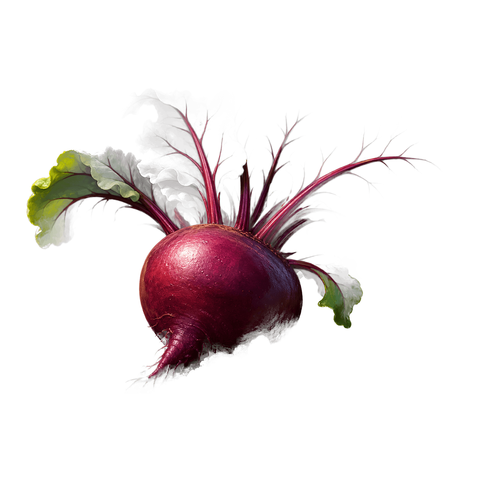 Remolacha